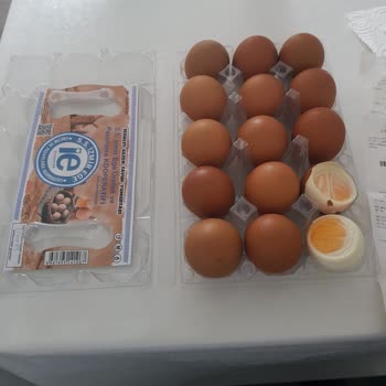 Bayat Yumurta Bayram Kahvaltısını Zehir Etti