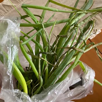 Küflü Ve Bozuk Ürünler, Yetersiz Müşteri Hizmeti