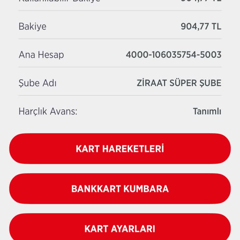 Harçlık Avansım Tanımlı Ama Kullanamıyorum, Çözüm Bekliyorum