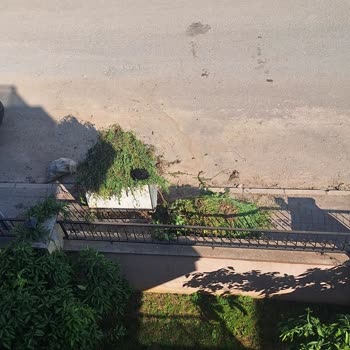 Çöp Kutusu Nedeniyle Balkonumda Oturamıyorum Sinek Ve Böcek Sorunu Yaşıyorum