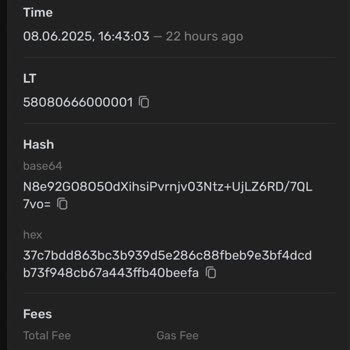 Blum Trading Bot İle Binance Transferinde Txıd Sorunu Ve Nemo Eksikliği
