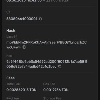 Blum Trading Bot İle Binance Transferinde Txıd Sorunu Ve Nemo Eksikliği