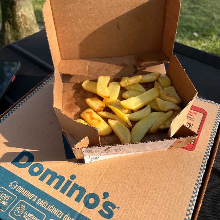Domino's Pizza'da Orta Boy Patates Hayal Kırıklığı