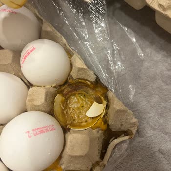 Kurtlanmış Ve Kırık Yumurta Gönderdiler!