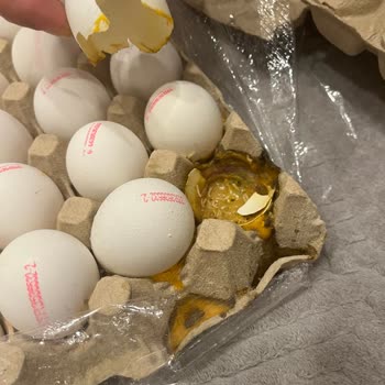 Kurtlanmış Ve Kırık Yumurta Gönderdiler!