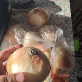 Online Alışverişte Çürük Sebze Ve Devasa Patlıcan Hayal Kırıklığı