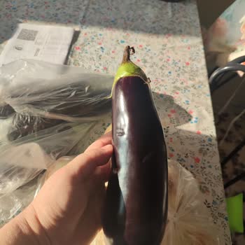 Online Alışverişte Çürük Sebze Ve Devasa Patlıcan Hayal Kırıklığı