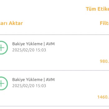 HGS Yüklemesi Hesabıma Yansımadı, Ceza Yedim Ve Muhatap Bulamıyorum