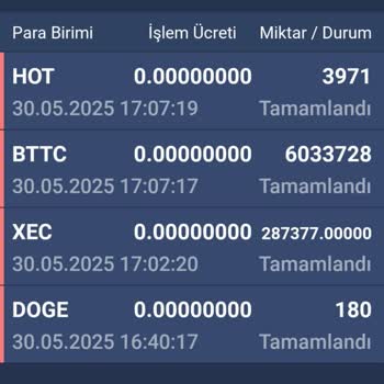Bitexen Hesabımdaki Kripto Paralar İzinsiz Olarak Başka Hesaba Aktarılmış