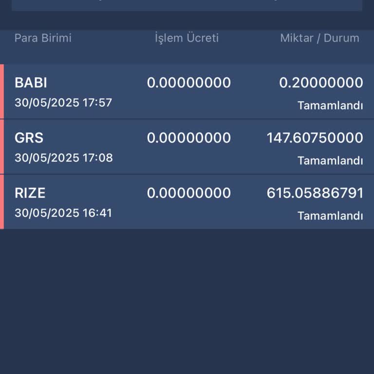 Bitexen Hesabımdaki 7000 TL Değerindeki Coinler Kayboldu