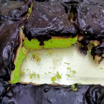 Kedi Dilinde Yeşil Renk Endişesi