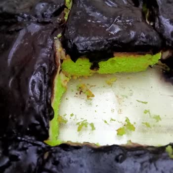 Kedi Dilinde Yeşil Renk Endişesi