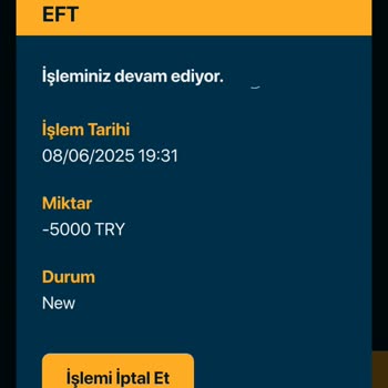 Kazandığım Ödemenin Yapılmaması Ve Müşteri Hizmetlerinin İlgisizliği