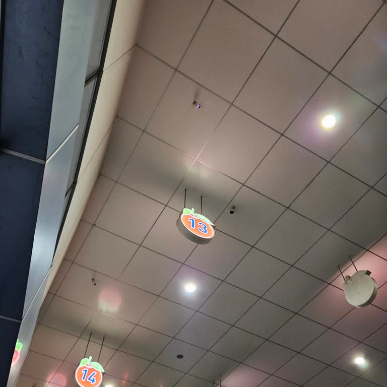 Lüks Niksar Tur Biletli Yolculukta Uzun Gecikme Nedeniyle Mağduriyet Yaşadım