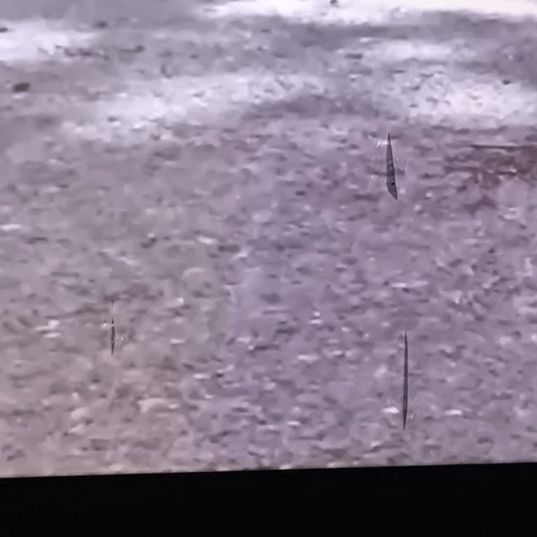 Arena Park Salon 1'de Yırtık Perde Ve Düşük İzleme Keyfi