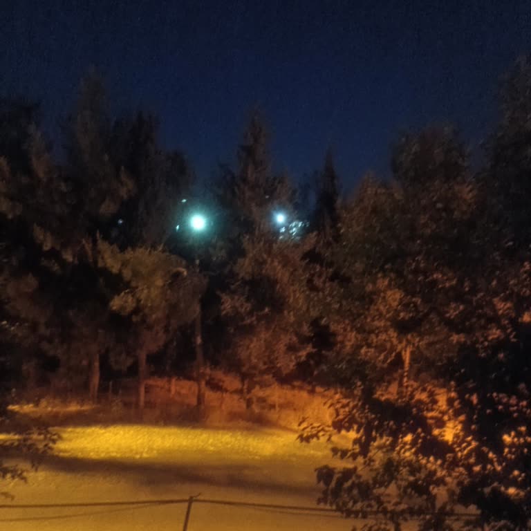 K***** Bayramı Sonrası Mahallede Yoğun Koku Sorunu