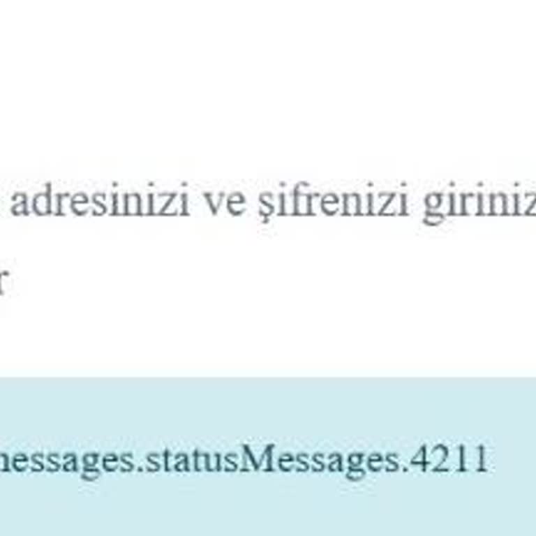 Sisteme Girişte Sürekli Hata Alıyorum