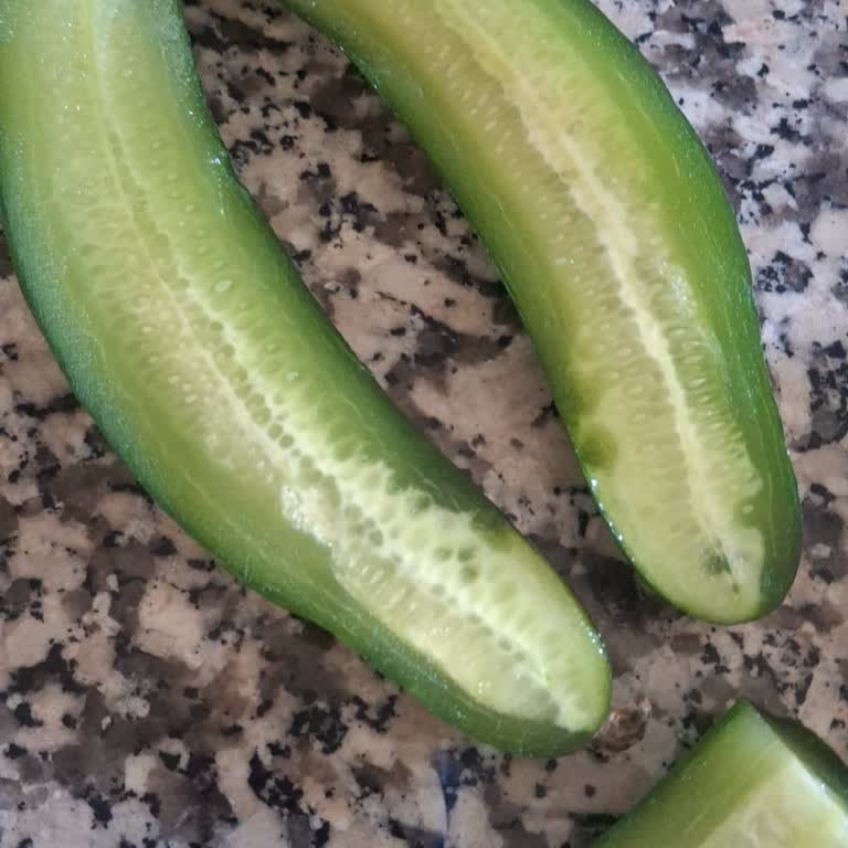 Vestel Buzdolabı Sebzeleri Donduruyor, Çözüm Sunulmuyor