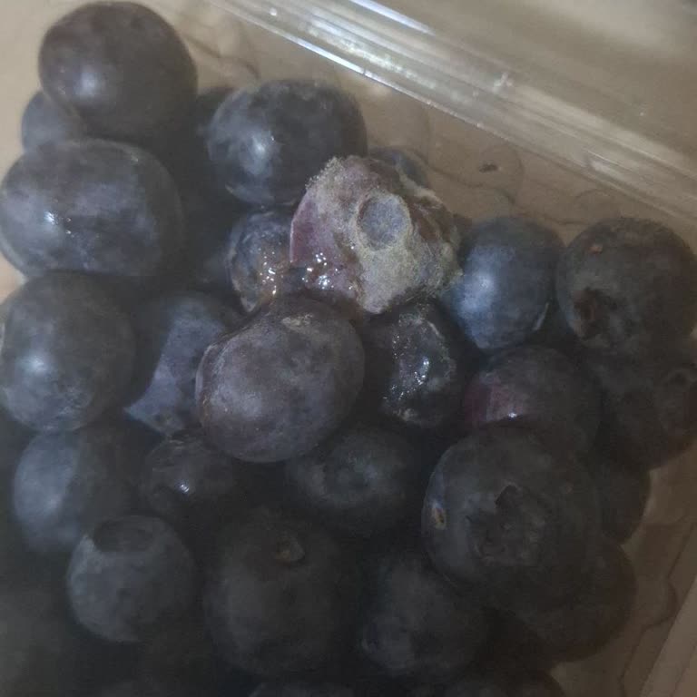 Migros Hemen'den Küflü Ve Bozuk Ürün Teslimatı