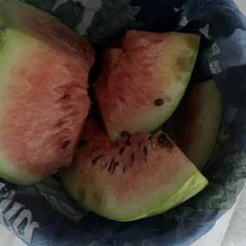 File Market'ten Aldığım Karpuz Tüketilemeyecek Kadar Kötüydü