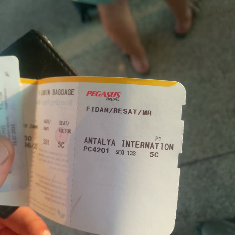 Pegasus Uçuşunda Gecikme Ve Yetersiz İkram Deneyimi