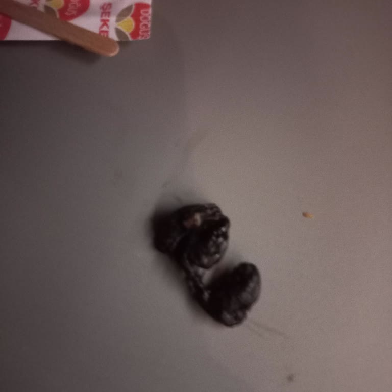 Ocaklı Dinlenme Tesisi Bozuk Ürün Sattı