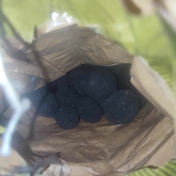 Şok Marketten Aldığım Kömür Yanmadı, Mağdur Oldum