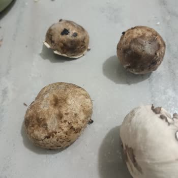 Migros Sanal Markette Eksik Ve Bozuk Ürün, Yetersiz Müşteri Hizmeti