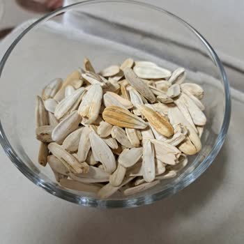 Çerezya Ay Çekirdeğinde Boş Ve Darbeli Çekirdekler Misafirlere Mahcup Oldum