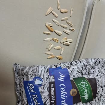 Çerezya Ay Çekirdeğinde Boş Ve Darbeli Çekirdekler Misafirlere Mahcup Oldum