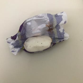 Kent Şekerlerinde Küf Ve Yabancı Cisim Şoku!