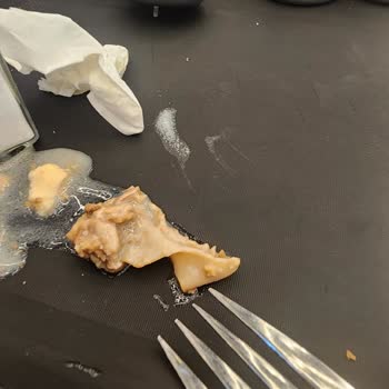 Köfteci Yusuf'ta Bayram Yoğunluğunda Kötü Deneyim: Etli Çorba Ve Hizmet Sorunu