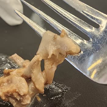 Köfteci Yusuf'ta Bayram Yoğunluğunda Kötü Deneyim: Etli Çorba Ve Hizmet Sorunu