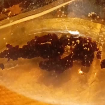 Tuborg Kutusundan Çıkanlar Şaşırttı, Endişeliyim