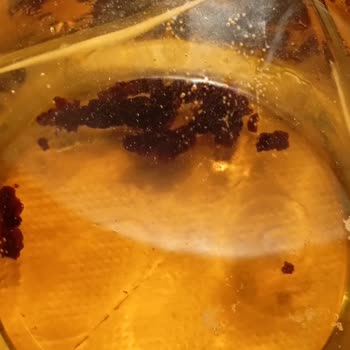 Tuborg Kutusundan Çıkanlar Şaşırttı, Endişeliyim