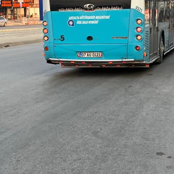 Antalya Büyükşehir Belediyesi Otobüs Şoförünün Sokak Hayvanına Zarar Vermesi Ve İlgisizliği