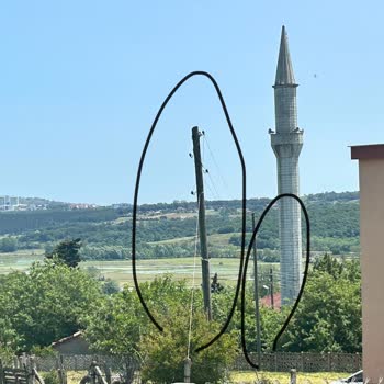 Bahçemizdeki Aydınlatma Talebimiz Yıllardır Karşılanmıyor