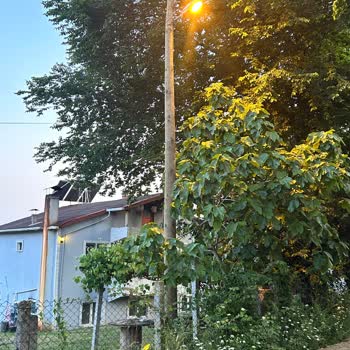 Bahçemizdeki Aydınlatma Talebimiz Yıllardır Karşılanmıyor