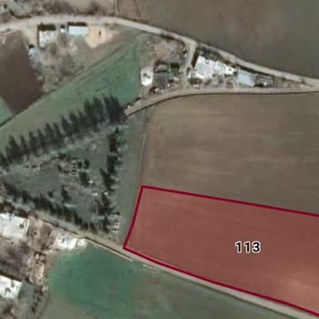 Tapu Kadastro Hatası Nedeniyle Arazi Mağduriyeti