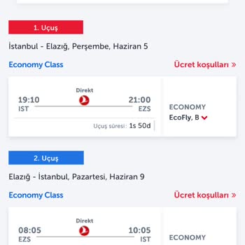 Uçuş İptali Nedeniyle Yaşanan Mağduriyet Ve Stres