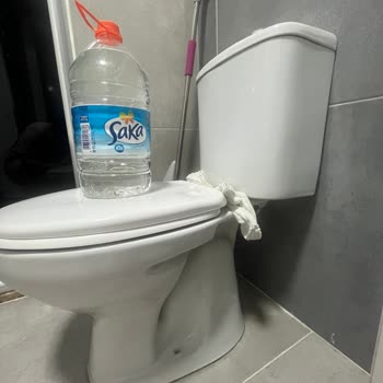 Klozetimizden Fare Çıkıyor, Sağlığımız Tehlikede!