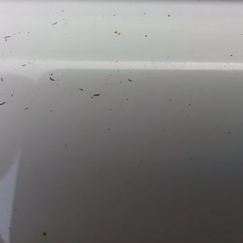 Otokoç Sıfır Araçta Kısa Sürede Boya Dökülmesi Ve Paslanma Sorunu