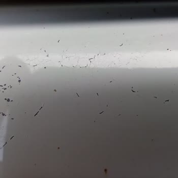 Otokoç Sıfır Araçta Kısa Sürede Boya Dökülmesi Ve Paslanma Sorunu