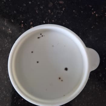 Sürahi Kapaklarında Küf Sorunu Hijyen Endişesi Yaratıyor