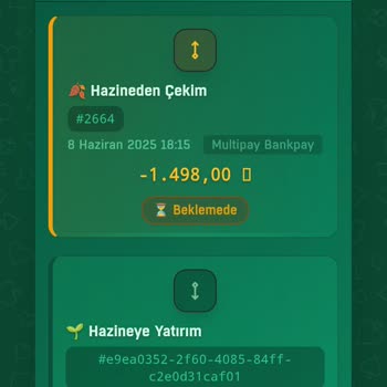 Betzoo Sitesinde Para Çekme Süreci Beklenenden Uzun Sürdü