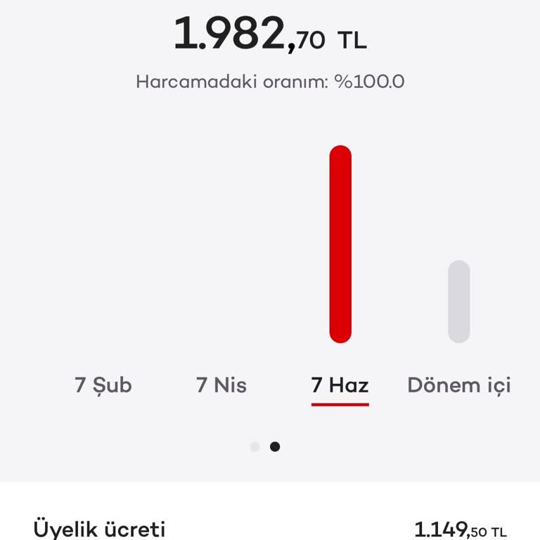Onayım Dışında Kesilen Kart Üyelik Ücretinin İadesini Talep Ediyorum