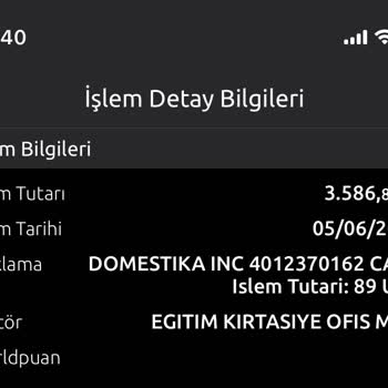 Domestika Aboneliği Yüksek Fiyatla Otomatik Yenilendi Ve Destek Alınamıyor