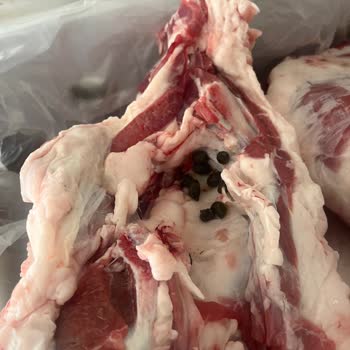 Kurban Etinde Hijyen Sorunu Ve Yetersiz Destek