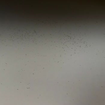 Satın Aldığım Koltuk Takımı Kusurlu Geldi, 5 Aydır Servis Desteği Alamıyorum