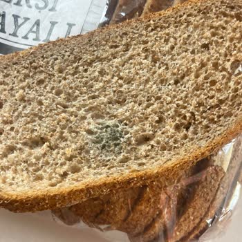 Küflü Ürün Ve İlgisiz Müşteri Hizmetleri Hayal Kırıklığı